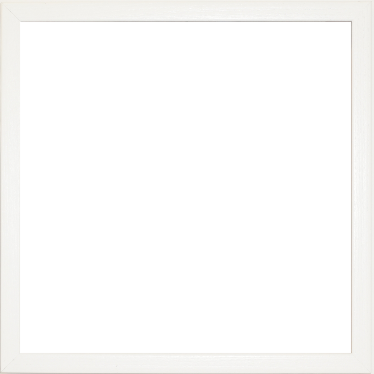 FLAT WHITE - 5 x 7